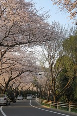 IMG_1042.jpg